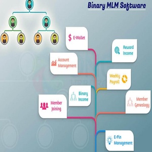 in Stock <strong>Network</strong> Marketing Genealogy <strong>Software</strong> - Product Image 4