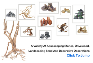 Mangrove en bois flotté - Product Image 6