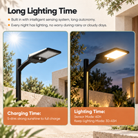 Lampe solaire de rue 160LM/W à LED haute luminosité pour extérieur avec 3 températures de couleur, étanche IP65, garantie 3 ans pour jardin et route