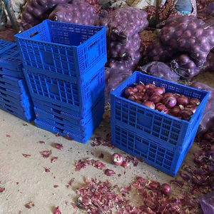 Plastic Storage Customized Plastic Vegetables Mold Design Folding Crates Making Factory Stackable Collapsible Cheap Storage Manufacturer