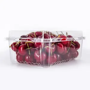 Hoge Kwaliteit Transparante Blister Plastic Fruit Container Te Koop