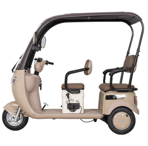 Scooter électrique à 3 roues FGQ Urban Leisure multi-places avec toit et porte-bagages arrière, tricycle électrique pour les trajets domicile-travail et les courses - Product Image 3