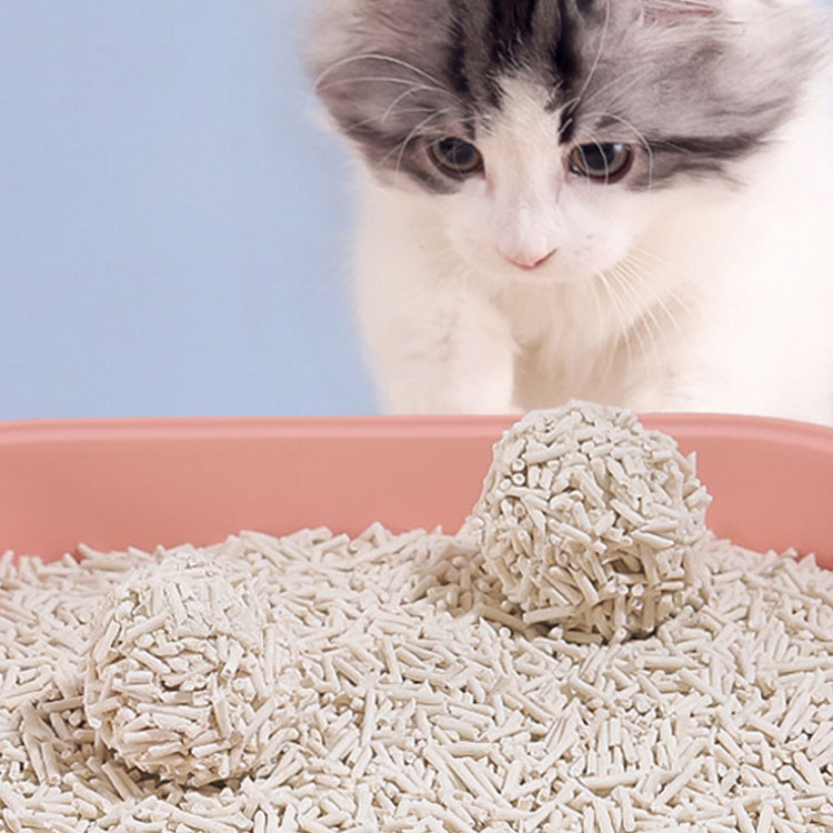 phonenumbergenerator.top Sourcing Guide: iPhones 15 Pro Max, Smart Watches, Electric Bikes, Women�