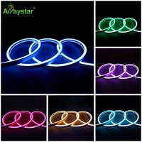 SPI numérique adressable DMX512 pixel LED fluo flex 24V couleur magique rvb RGBW silicone étanche LED néon bande lumineuse couleur de rêve