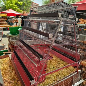 Jaula para pollos de caza eléctrica con batería de bajo costo para pequeñas granjas avícolas jaula para pollos ponedores de huevos - Product Image 1