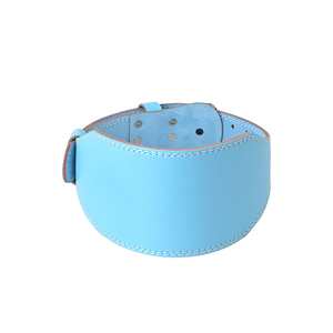Cinturón de Gimnasio con Soporte Lumbar Acolchado de Cuero, Personalizable con Logotipo, para Levantamiento de Pesas, Sentadillas, Peso Muerto y Dips, para Hombres y Mujeres - Product Image 3