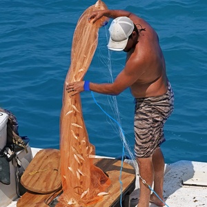 Thickened Nylon Monofilament Resistance 6ft Saltwater Fishing Throw Hand Color Drawstring <strong>Cast</strong> <strong>Nets</strong> Da Pescare for Sale - Product Image 4