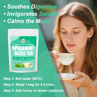 OEM Spearmint Bliss Tea Pure Spearmint Leaf Herbal Tea Soothe Digestion Calm Mind Invigorate Senses Daily Natural Body Care
