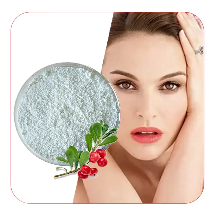 Top quality bearberry leaf extract powder food grade 98% bearberry extract powder