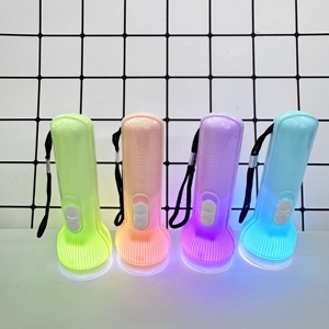 Professional Manufacturer Hiking Emergency Camping Led Torch Light Energy Efficient Plastic Flashlight
