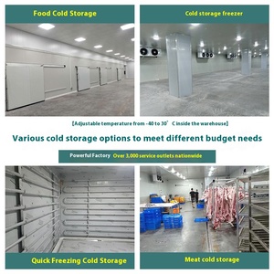 Thương mại di động nhỏ phòng lạnh lưu trữ thiết bị hoàn chỉnh Tủ đông lạnh đơn vị cho thực phẩm tươi <span class=keywords><strong>Ice</strong></span> container - Product Image 3