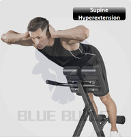 Chaise romaine multifonctionnelle pliable et banc d'hyperextension pour entraînement de l'étirement du dos à domicile - Hommes et femmes