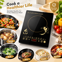 Plaque de cuisson à induction électrique 2200W étanche, portable, robuste, en verre céramique, à écran tactile, vente en gros d'usine