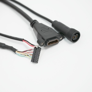 工場カスタム銅芯ワイヤーハーネスDupont 2.0 2*9PIN + 防水2PIN PH2.0コンボケーブル（産業機械電子機器用） - Product Image 2