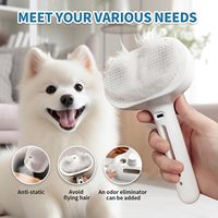 Brosse de toilettage électrique à ultrasons pour animaux de compagnie, avec pulvérisation de brume et massage, pour l'élimination et la prévention des poils volants, pour chats et chiens
