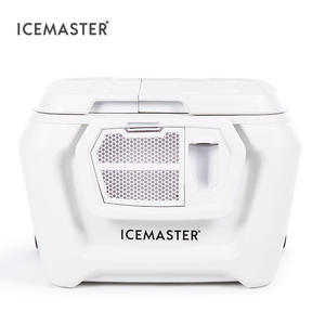 IceMaster OEM ODM 54L fresco nuevo diseño multifunción refrigeradores ergonómico tirador de lujo playa nevera - Product Image 1