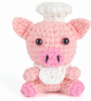 Kit de Crochet DIY pour Poupée Cochon Rose en Fil Tube, Fait Main, Simple et Facile à Realiser, Tous les Outils Nécessaires Inclus, Ensemble pour Débutants en Crochet