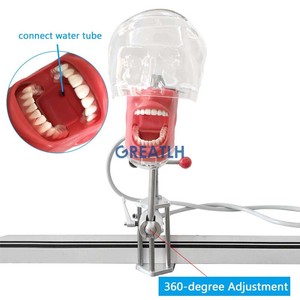 Simulatore di fantasma dentale del modello del simulatore della testa fantasma del manichino del supporto da tavolo dentale per istruzione del dentista - Product Image 3