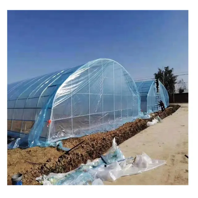 Greenhouse de filme tipo arco único-span com sistema de hidroponia nft