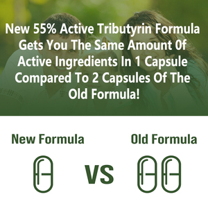 Oem Custom Tributyrine Postbiotica Capsules 55% Actieve Formule Darm Gezondheid Colon Ondersteuning 30 Veganistische Gmo-Vrij - Product Image 4