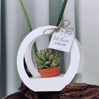 Panier en carton blanc pliable simple pour plantes succulentes, avec poignée et trous ronds de 2,95 " et 2,56 ", très vendu