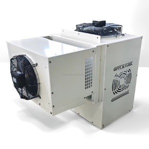 Netzunabhängiger Solar-Kühlcontainer 20ft Kommerzieller Kühlraum für Gemüse und Fisch Chambre Froide Solaire - Product Image 5