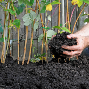 <span class=keywords><strong>Engrais</strong></span> organique granulé à base <span class=keywords><strong>de</strong></span> <span class=keywords><strong>fumier</strong></span> <span class=keywords><strong>de</strong></span> mouton fermenté, libération lente des nutriments, inodore, pour les fleurs en pot, les pelouses, les bonsaïs, les plantes vertes - Product Image 6