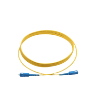 FTTH Fibre Optique SC FC LC ST APC UPC Pigtails 0.9mm 2mm 3mm Singlemode Sm Simplex Fibre Optique Patch Cord Jumper Optique Pigtail