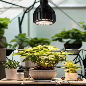 Lampe végétale 30W <span class=keywords><strong>à</strong></span> spectre complet Corps en aluminium avec ampoule verte pour le <span class=keywords><strong>soleil</strong></span> Araceae <span class=keywords><strong>Fleurs</strong></span> Succulent Root Growth Candle Plant Fill Light - Product Image 3