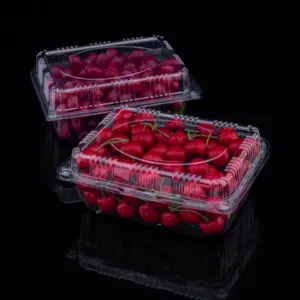 투명 대합 조개 포장 500gr 일회용 식품 PET 투명 맞춤형 탬핑 투명 망고 과일 조개 껍질 플라스틱 과일 상자