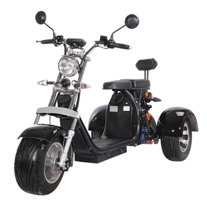 2020 New <strong>Model</strong> 3 Wheels <strong>EEC</strong> Approved Citycoco 2000W Motor 3 Wheels <strong>EEC</strong> Electric Scooter Old People Ride Tricycles - Product Image 5