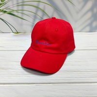 Gorra de Béisbol de 6 Paneles, Bordada a Mano, con Logotipo Personalizado, Estampado Floral Deportivo, Neutral, de Algodón, Sin Estructura, Formal, Comercial