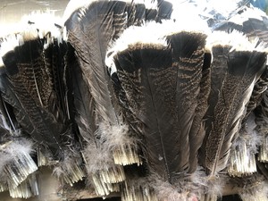 Ailes de dinde sauvage teintées fantaisie avec motif rayé naturel pour accessoires de coiffure, décoration intérieure et artisanat - Product Image 3