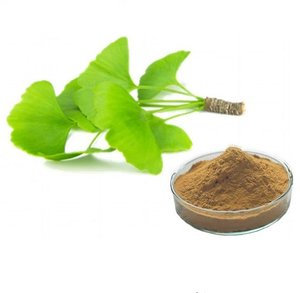 OEM/BULK Ginkgo Biloba Extrato De Folha Em Pó Extrato Ginkgo Flavonóides 24% Lactone 6% à venda - Product Image 4