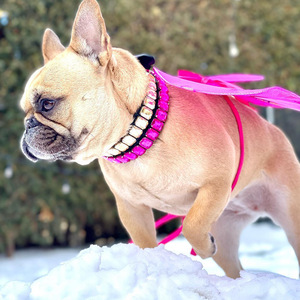 Boutique Pet Shop Bling Crystal <span class=keywords><strong>Stone</strong></span> Rhinestone Collares para mascotas <span class=keywords><strong>Collar</strong></span> de perro de diamante de agua de cuero de lujo con piedra de vidrio personalizar - Product Image 5