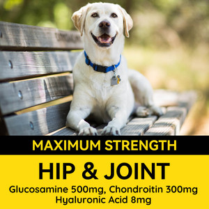Curcuma MSM Glucosamine Chondroïtine Nutritionnel Chien Complément Alimentaire Pet Hanche Articulation Soins Soulagement De La Douleur Glucosamine Mâche - Product Image 4
