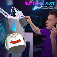Micrófono de Grabación Dinámico XLR/USB FIFINE AM8 PROT RGB con Brazo Articulado Ajustable para Juegos y Streaming, Micrófono Gamer