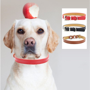 Collier en cuir PU léger, réglable, Durable, confortable, léger, à la mode, multicolore, pour chien et chat, impression sur mesure, qualité supérieure - Product Image 4