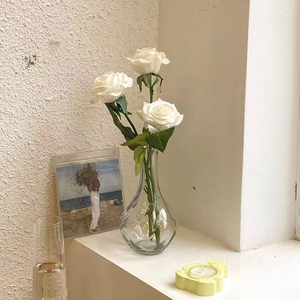 <span class=keywords><strong>Vase</strong></span> en verre classique minimaliste pour la maison, <span class=keywords><strong>vase</strong></span> <span class=keywords><strong>hydroponique</strong></span> pour plantes et fleurs, exquis et durable, très vendu - Product Image 3