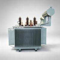 Transformateur de distribution triphasé immergé dans l'huile pour usage agricole et parcs industriels, 50KVA, 80KVA, 100KVA, 125KVA, 6kV, 10kV