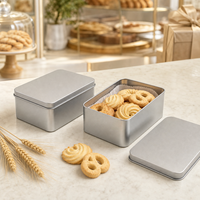 Caja Rectangular Personalizada para Galletas con Tapa, 140x100x60mm, Envase de Hojalata Apto para Alimentos, para Regalos de Panadería, Venta al Por Mayor
