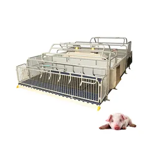 Wholesale Pig Delivery Bed Farrowing Crate For Sale Sow Pig Farrowing Crate For Pig Cage Stainless Steel Farrowing Crate