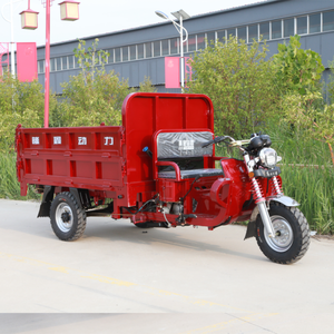 Sturdy 200cc Tricycle Motorcycle with <b>Gasoline</b> Power Manufacturer Direct for Efficient Logistics - Product Image 2