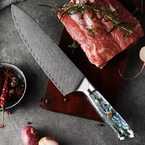 Ensemble de 4 couteaux de chef en acier damas VG 10 à <span class=keywords><strong>67</strong></span> couches, couteaux à steak de 5 pouces avec manche en abalone naturel - Product Image 4