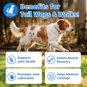 वरिष्ठ कुत्ते कूल्हे और संयुक्त पूरक टैबलेट ग्लूकोमामाइन चोन्ड्रोइटिन मिज्म कुत्ते और बिल्ली पोषण पालतू स्वास्थ्य देखभाल कल्याण - Product Image 2