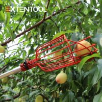 Extentool 6m verstelbare tuingereedschap aluminium telescopische steel fruitplukker oogstmand fruit plukken
