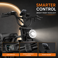 Vélo électrique à pneus larges BK20, 250W, 48V, batterie au lithium 20Ah, vélo de montagne tout-terrain