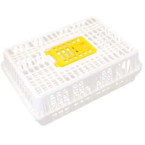 Jaula de plástico para transporte de pollos, caja de transporte - Product Image 2