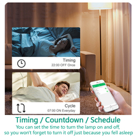 Interruptor Inteligente Tuya 16A Zigbee 3.0 Mini, Control Remoto por Aplicación Smart Life, Temporizador DIY, Interruptor Inalámbrico Compatible con Alice, Alexa, Google Home G535