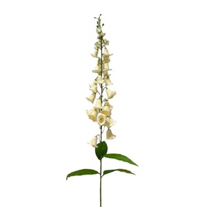 Lys de la vallée artificiel blanc et rose en soie, fleur décorative d'intérieur, vente chaude - Product Image 6
